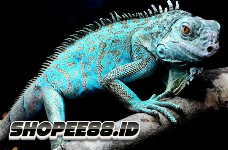 Kenapa Hewan Warna Biru Sangat Langka dan Jarang?